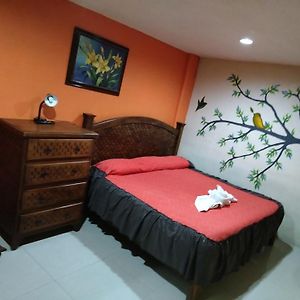 Hotel Amayal
